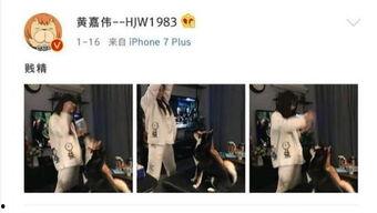 二次元吃瓜娱乐圈